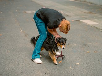 Eine Person mit kurzen blonden Haaren und blauer Jeans beugt sich vor, um einem kleinen, flauschigen Hund auf dem Asphalt eine Leine anzulegen.