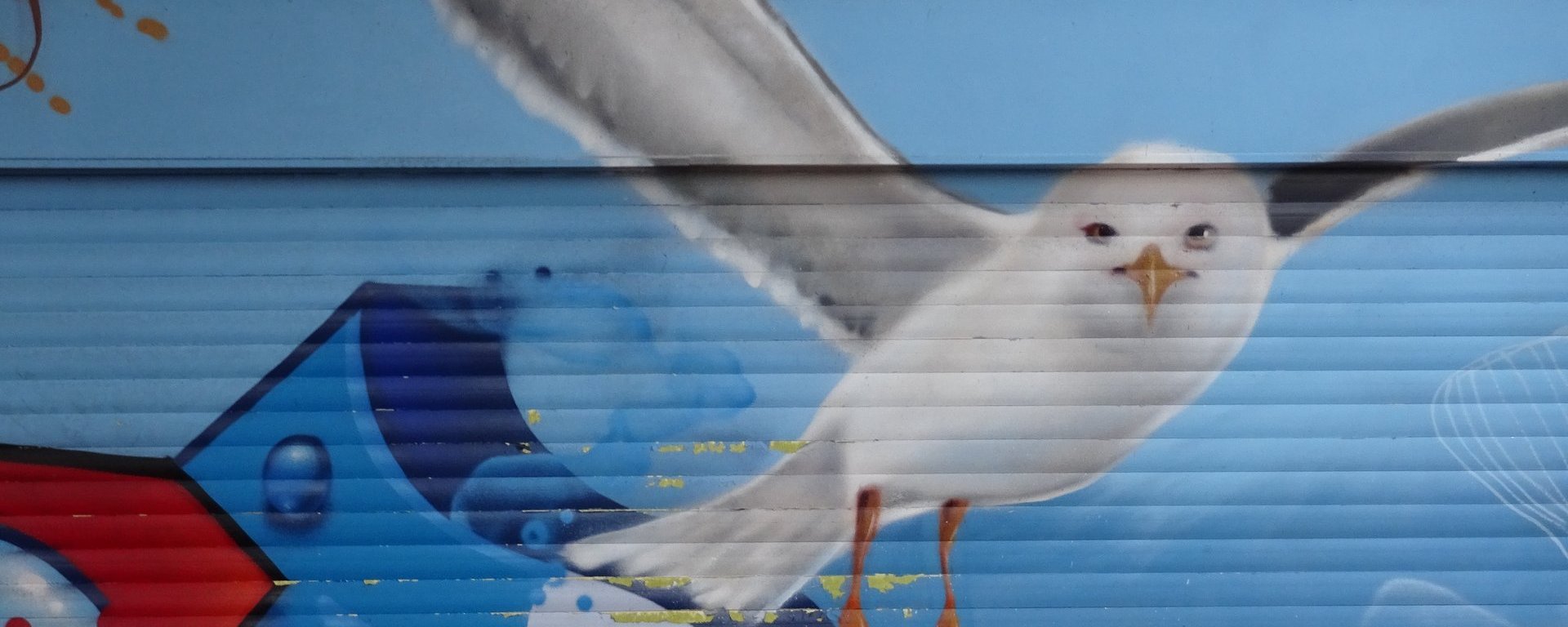 Graffiti an einer Hauswand zeigt eine Möwe und angedeutete Schriftzeichen