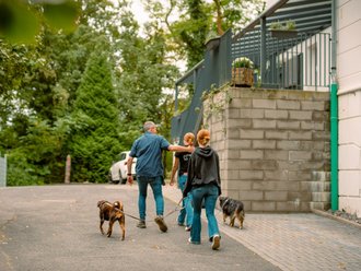 Drei Personen gehen gemeinsam mit zwei Hunden einen asphaltierten Weg bergauf. Rechts steht ein weißes Haus mit Balkon, links säumen Bäume den Weg. Die Gruppe entfernt sich von der Kamera.